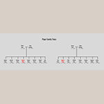 Fig. 28: Pope family trees.