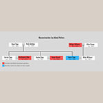 Fig. 29: Family tree of Reconstruction era allied potters.