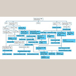 Fig. 7 Vestal family tree with potters indicated in blue. Graphic courtesy of the author. Jesse Vestal’s sons Silas and Messer Amos were potters in Huntsville before moving to Tennessee, where they continued to make pottery. An inveterate traveler, Jesse Vestal may have also worked in the trade while living in the Yadkin County-Davie County area.