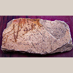 Fig. 8 Earthenware sherd partially inscribed with the name Vestal; Jamestown, Guilford County, NC; ca. nineteenth century. Photograph courtesy of Hal E. Pugh. The sherd was surface collected from an unexcavated pottery production site in Jamestown, Guilford County, NC. The Mendenhall plantation house is located nearby where prominent Quaker resident and trained potter, Richard Mendenhall, resided. Mendenhall's daughter Rhoda married potter Messer Vestal.