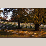 Fig. 19: God’s Acre (Moravian cemetery), Salem, NC. Old Salem Museums & Gardens.