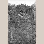 Fig. 13: Gravestone of Sarah Clodfelter, ca. 1813, Bethany United Church of Christ Graveyard, Midway, Davidson Co., NC. MESDA Object Database file D-32541.
