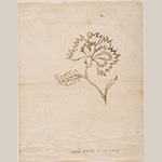 Fig. 2 "Pattern for a Toilet Cloth" Needlework Pattern made by Lady Jean Skipwith (1747/8–1826); Mecklenburg County, VA; 1780–1830. Ink on paper. HOA: 15.875”; WOA: 12.625”. Courtesy of The Colonial Williamsburg Foundation, Museum Purchase, acc. no. 2002–22,3.